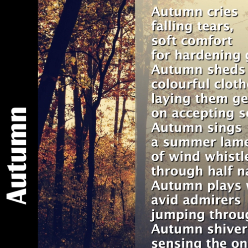autumn_children_pupils_school_poetry_resources_sea